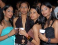 Red Ants All Inclusive (Trini)