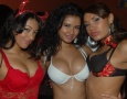 Rum Jungle 2k6 Halloween Ball (NY)