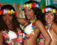 CRIBS Hawaiian Style (NY)