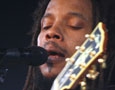 Stephen & Damian Marley Live (NY)