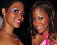 Tickled Pink (New York)