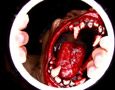 Maracas Halloween Ball 2011 (New York)