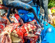 Berlin Carnival Street Parade 2014 Pt. 1 (Germany)