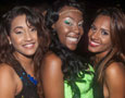 Illusions Chow Chow (Trinidad)