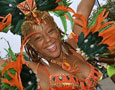 Virginia CaribFest Parade of the Bands 2014 Pt. 1 (Virginia)