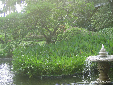 bali2004-049