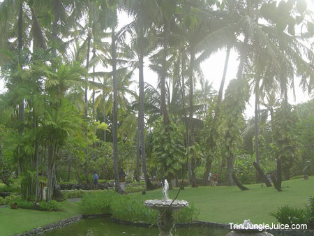 bali2004-052