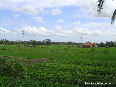 bali2004-115