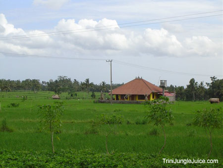 bali2004-118