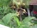 bali2004-039