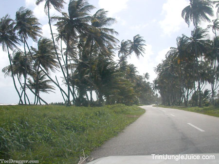 trinijan04beach-14