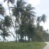 trinijan04beach-14
