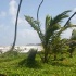 trinijan04beach-15
