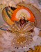 king_queen_x-25
