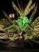 king_queen_x-44