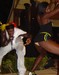 summer_splash2-145