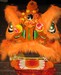 toute_la_moude_2k6-14