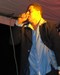 pulse_anniv-31