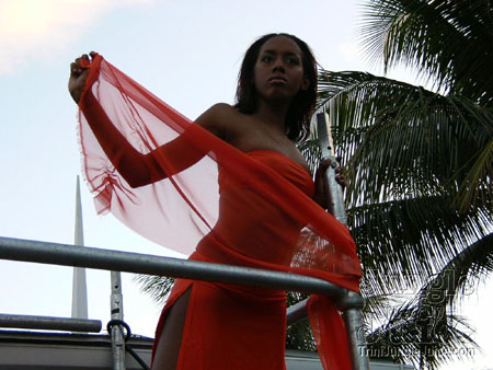 amnesia_2006-005