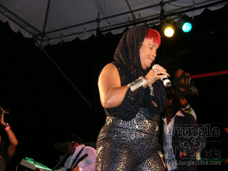 amnesia_2006-052