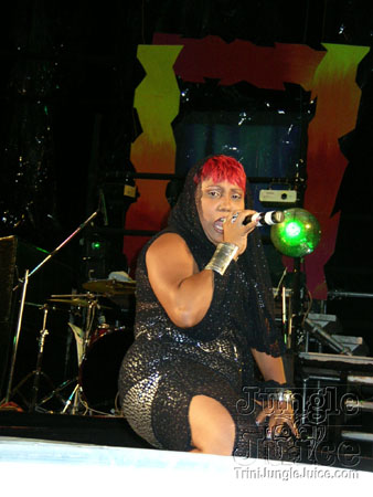 amnesia_2006-054