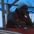 caribana_parade_pt1-041