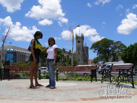 1-bim_2006-01