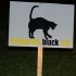 dark-43