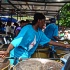 dc_onD_road-052