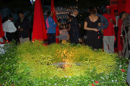 live_large-09