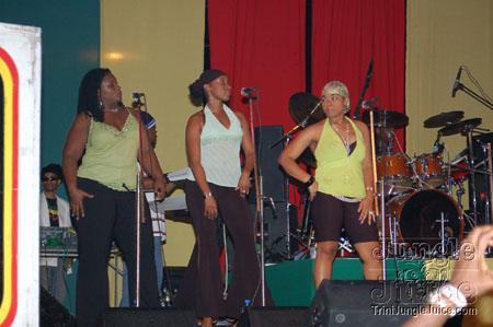 reggae_all_stars-59