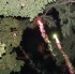 romancing_under_the_stars-028