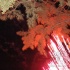 romancing_under_the_stars-030