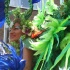 rotterdam_carnival-2006-03