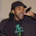 spotrushaz_live-17