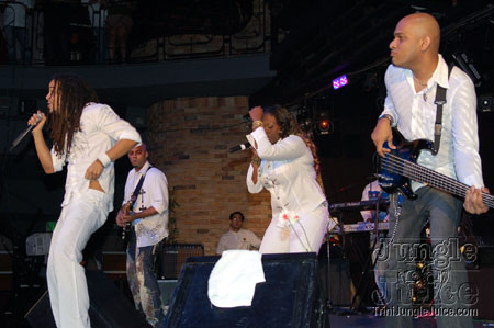 white_angels-024