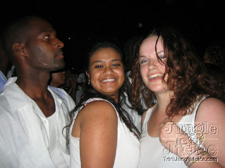 whiteout11-072