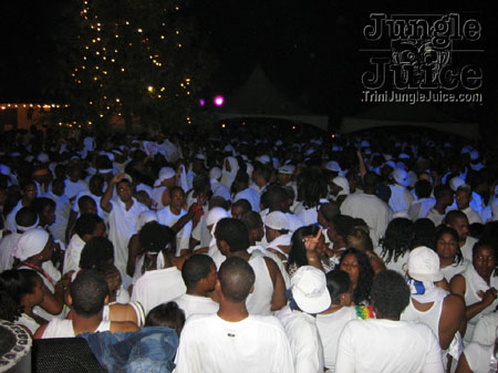 whiteout11-082