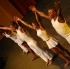 3canal_bachannal_show-057