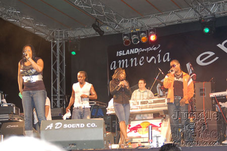 amnesia_2007-074