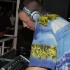 amnesia_boat_cruise_2007-077
