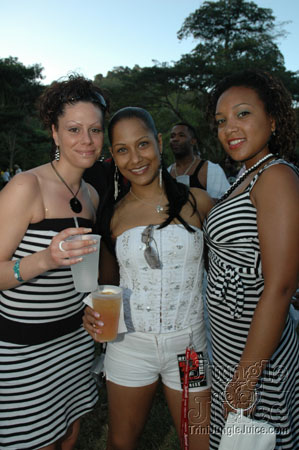 beach_house_carnival_2007-070