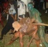 beach_house_carnival_2007-124