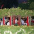 bishops_2007-034