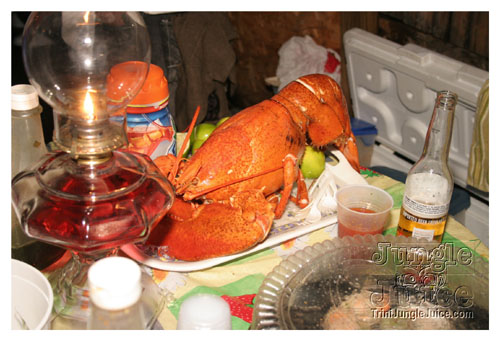blue_cruise_ny-243