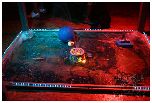 blue_cruise_ny-299