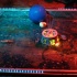 blue_cruise_ny-299