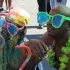 toronto_caribana_2k7-093