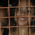 chutney_uwi_sept6-054