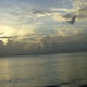 crop_over_2k7_extras_pt1-14